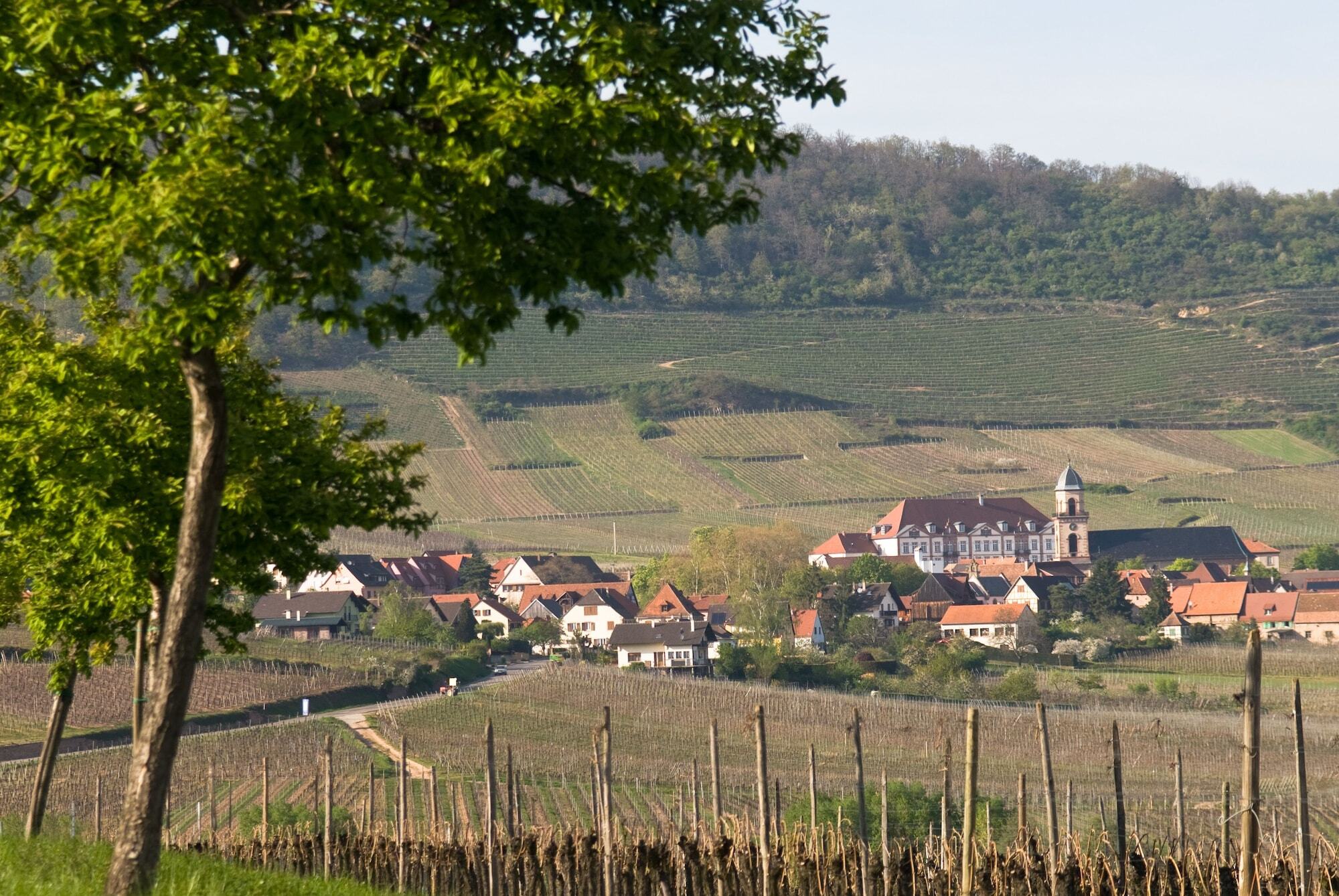 Hotel Val-Vignes Colmar Haut-Koenigsbourg, The Originals Relais Сент-Ипполит Экстерьер фото